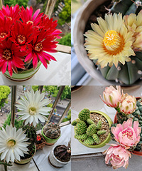 �𾪣��������꼻���Ȼ������