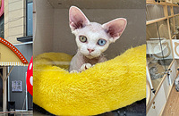 �����Խ��Խ�࣬���׬Ǯ�����������ô˵