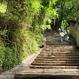 爬下南山的黄葛古道