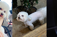 ������8��������4���¿�ʼ���ִ��󣬺��гɾ͸�