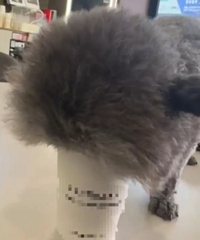 [����]ǰ��������˵����Լ���������ɣ�û�뵽������ֵ�����