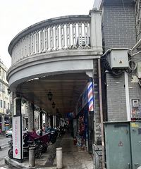 ���棡Ϊʲô·����������è�����ܰ�