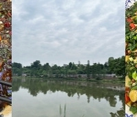 �����д��ɽ�����ڳ������ڵ������������