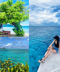 �˾�1��+��ȥ���ɱ��ǵ���Ƭ��