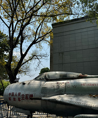 [����]�ż����������Σ�ͭ��̫�˾��ˣ��ԳԺȺȹ���ĩ