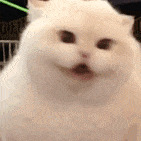 ������ֵ���򡿶����ԡ¶730g19�� ��������ص�˯��24