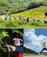 这个夏天带娃去森林探险