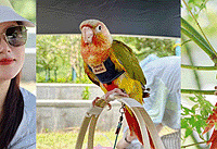 ϲ�����ŵ���˾�С�񣬲���ȥ�Ķ���Ҫ������