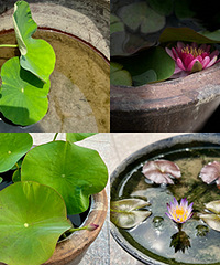 ����8��ɻ������ڿ���