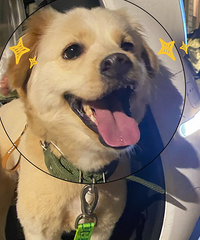 [����]��ʮ�꣬��ʵ���µ�ʮ���꣬����û����Ŀ�ʼ���Լ���