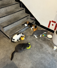 [��ʵ]���Ͼ���������ˣ���������ͨ�˵�����ö�С���ð�