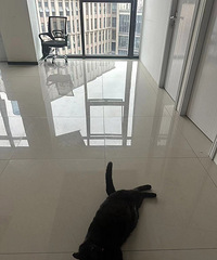 ͺ����èͬ�³���Խ��������Ҳ������԰��������