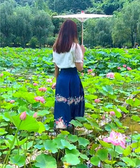 [�ͻ�]��ֵ���ģ�����԰��԰��ĺɻ���Ƭ��Ƭ�Ŀ���