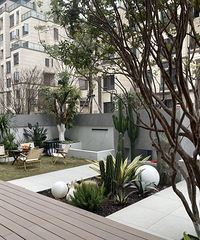 ����ʽ����+��輸���ʺ��Լ��Ĳ�����õ�