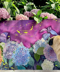 ���������ӣ��������ɸɻ������װ������