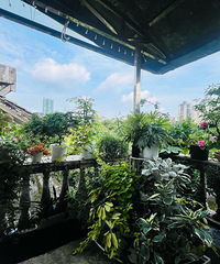 ���ѵ���̨��������ɭ��һ�����Ȳ���ʲ���