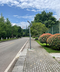 ��ʮ��ǰ�ı���