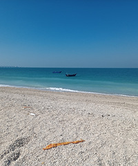 92170CM˾ĸ飬ϣԷ154