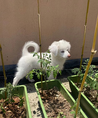 [��ҵ]25�꣬���뿪д��¥��������һ��ɼ���