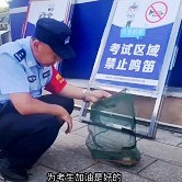 一只牛蛙影响高考被抓