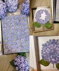 ���������ӣ��������ɸɻ�װ������