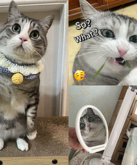 è̫�����ˣ����վ��ӵúܱ��鳬�ɰ�