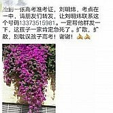 每年高考都有人发这个