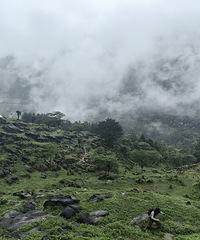 ����һ��Ȱ�������ú�������������Ͳ�Ҫȥ��