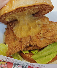 ����������³���ԭζ������