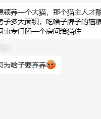 ��������������������ˣ�Ϊʲô��Ҫ��è����