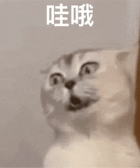 ������ֵ����Ȫ����ɫĸƬ15.8������������˯ȹ24.9