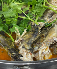 �������Ѵ���һ�����������ǳ�����ĺü��ڰ�