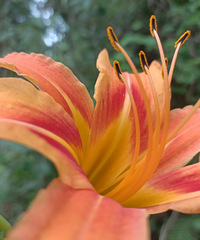 90갮Լݺ¶Ӫĸ飬ϣԷ87~95