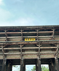 夏游京都