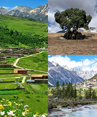 �Ƽ�һ�������컨����·���ʺ������һ��