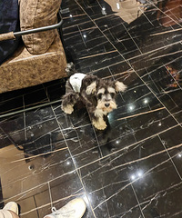 [����]��ü�����1891�������˴�ɽ���֣���Ҳ�ܵ����