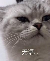 ϶յûΪʲôĸڹؿյ