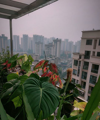 120�����Ҷ�������Ҫ���ɴ�����