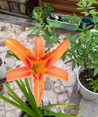 ũ�񲮲��͵ģ�������ݻ����ǻƻ���