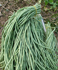 ������ˣ����� ���� ���� ���ף��Զ��Բ���