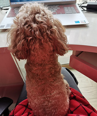 ���ڳ���������ô���𣿴����޸�ë����120