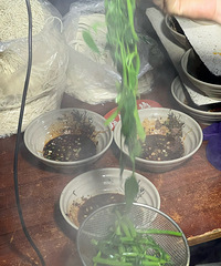 ������ҹ��̯�����ϵ���̨����ȥ�ĵط�