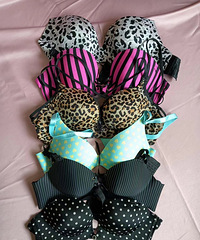 ���·���ȥ����ɶ�������վ��·��ķ����н���������