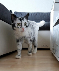 ������ѽ����ֻè���ú�����㡱ѩ�Ⱑ~