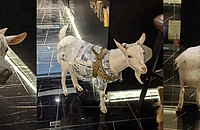 �𾪣���Ȼ������ɽ�򣬻���ʲô�ǲ��ܵ������