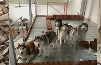 7ֻ��ҹ�ѧ����װ�ޣ��ڹ��ظɵ��Ȼ���