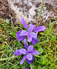 92��165CM�Ĺ���С������飬ϣ���Է�δ��δ��