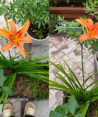 ũ�񲮲��͵ģ�������ݻ����ǻƻ�