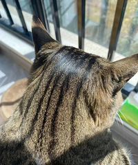 �����������͹�ˮ����ë����ô��������