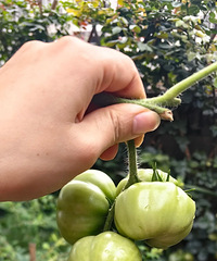 ���������Կǲ����ѣ���û��ķ��Ѽ��ˣ��ܳ���